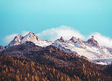 Baccarat Gaming-什么操作？欧文重新接受采访 示好媒体力挺主帅