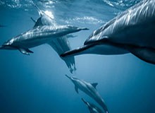 开运在线赛事平台——让每一场比赛都充满惊喜与机遇